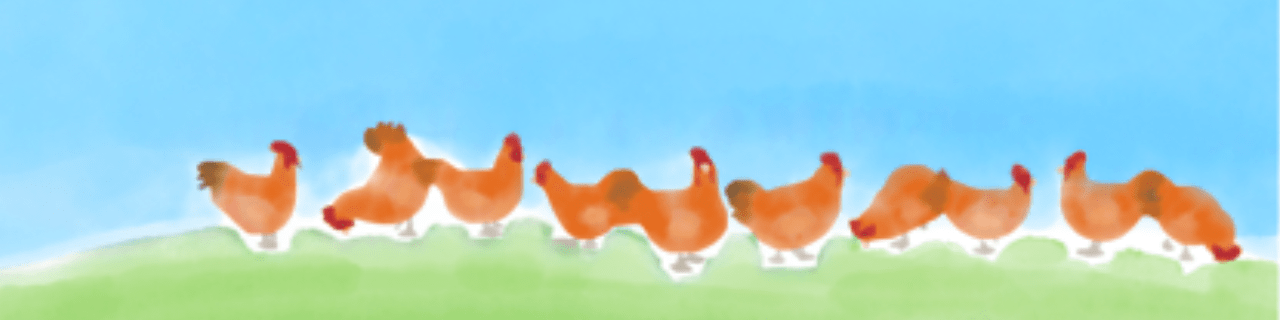アニマルウェルフェアの考えで飼育された鶏のイラスト