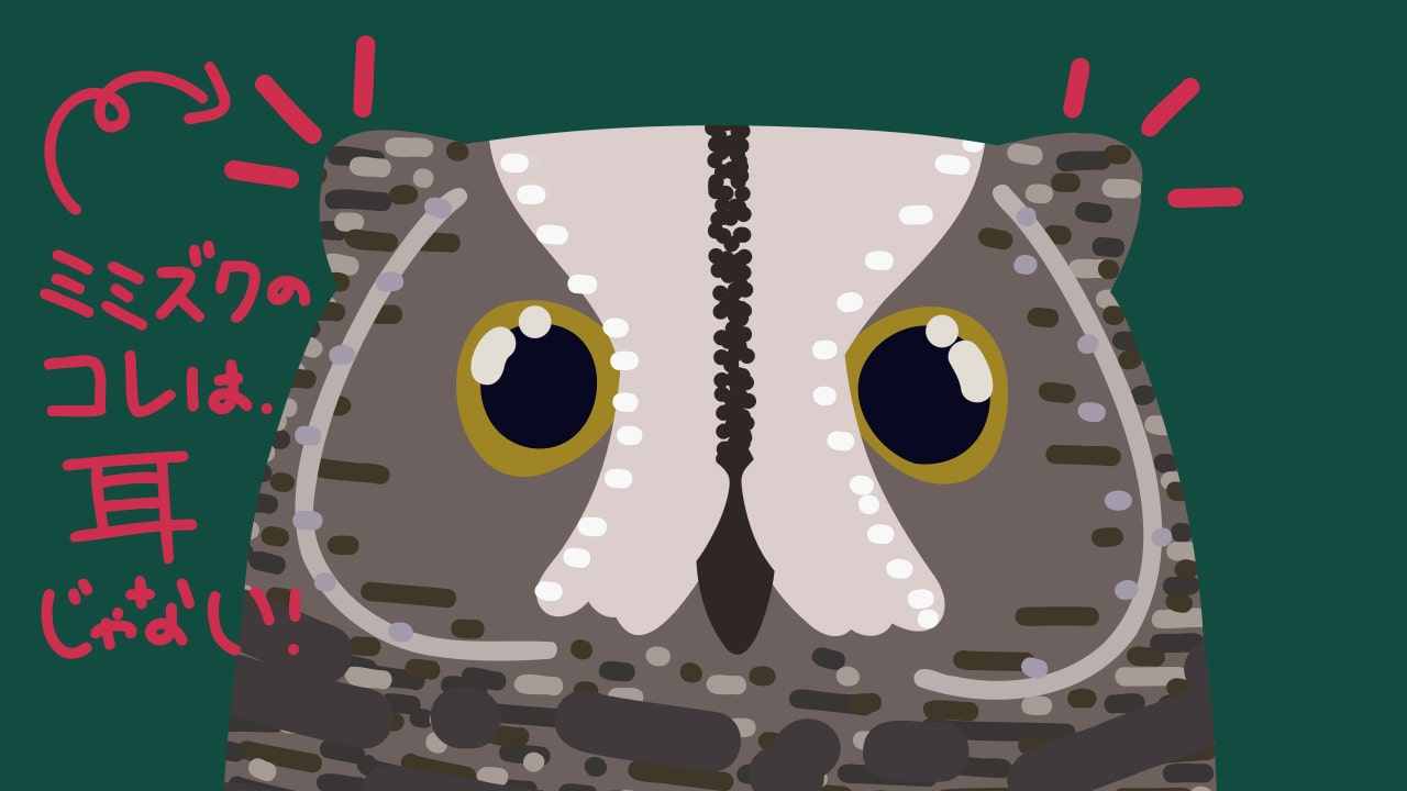 ミミズクの耳のイラスト