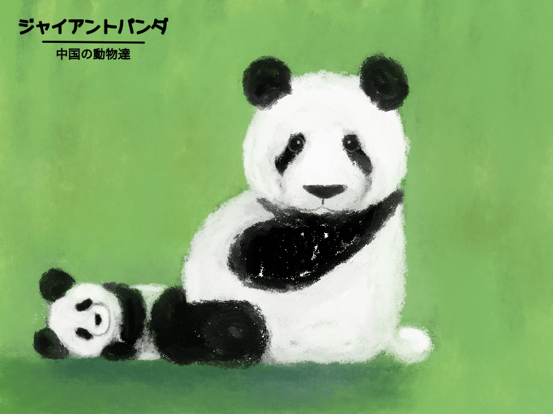 中国の動物:ジャイアントパンダのイラスト