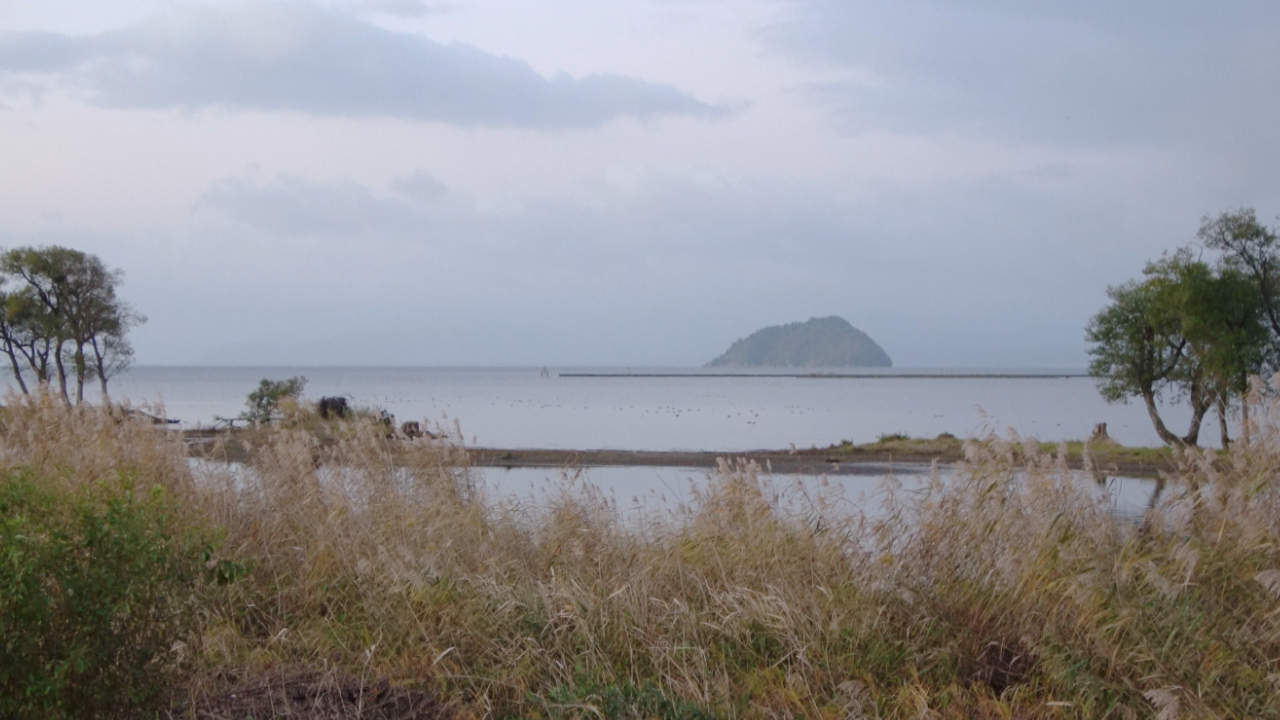 琵琶湖の中洲の画像
