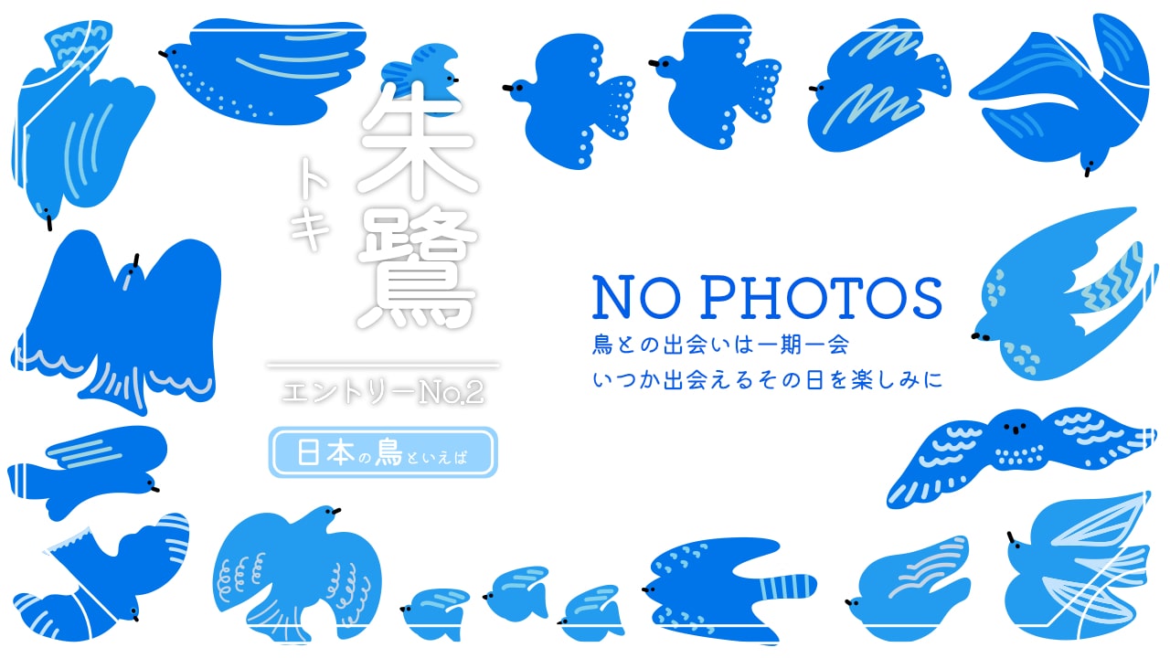 日本の鳥といえば学名がトキの画像(トキを見た事がないので、写真はなしです)