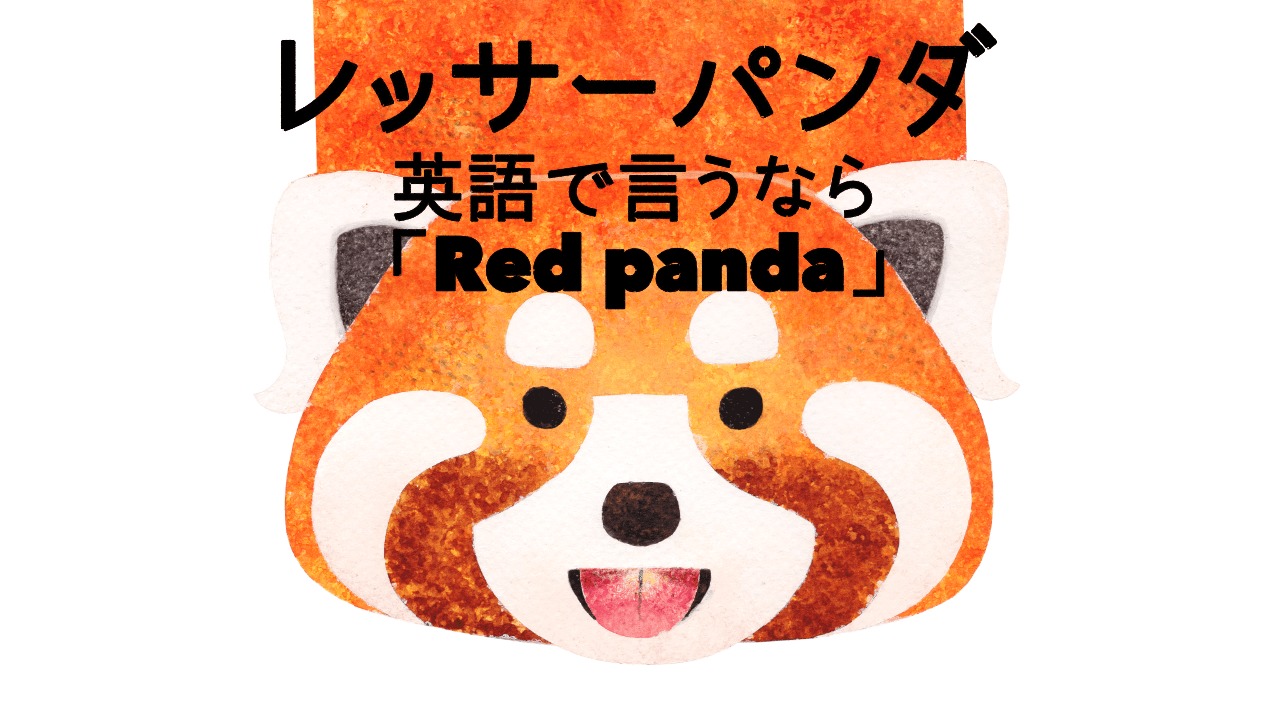 レッサーパンダは英語で「red panda」と言おう！