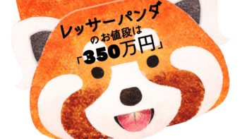 レッサーパンダの値段は「〇〇万円」
