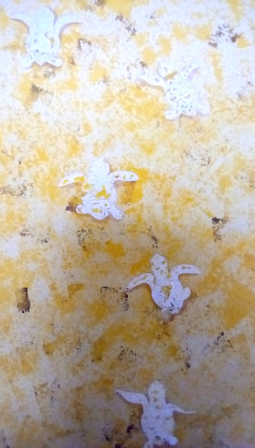 スポンジの出番です