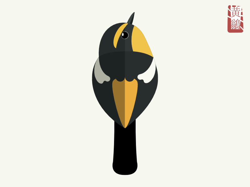 夏の鳥：キビタキのイラスト