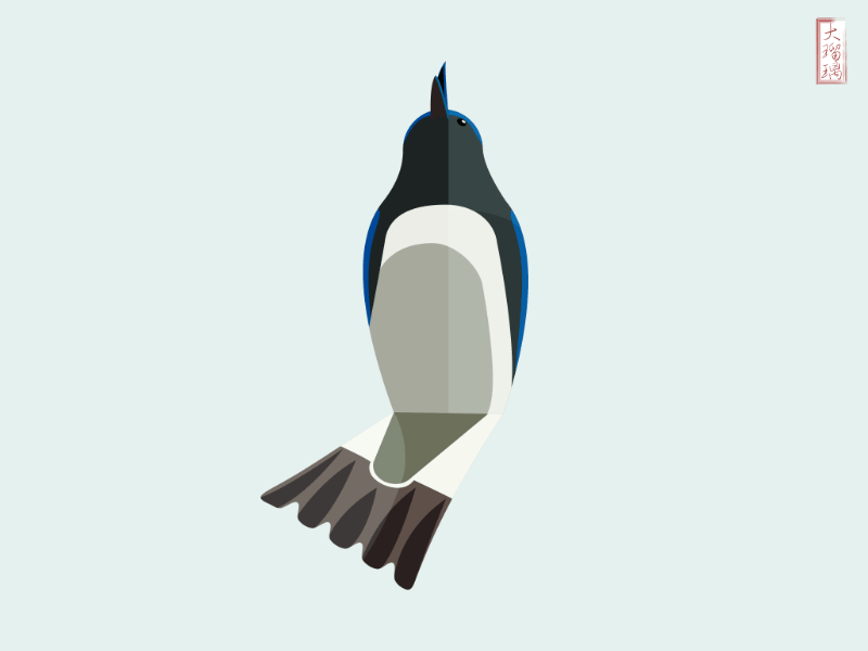 夏の鳥：オオルリのイラスト